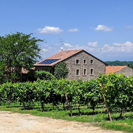 Seiterre Agriturismo Tenuta San Leone Villa Valeggio sul Mincio Ngoại thất bức ảnh