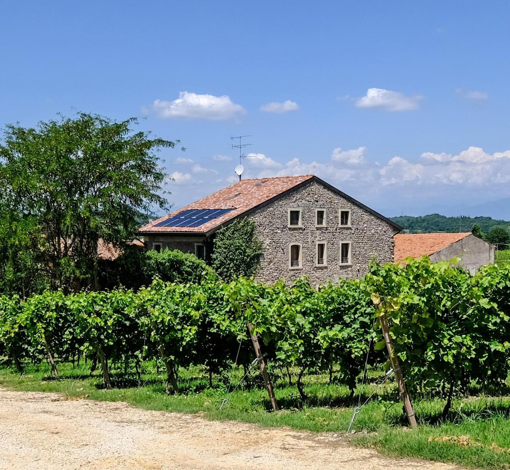 Seiterre Agriturismo Tenuta San Leone Villa Valeggio sul Mincio Ngoại thất bức ảnh